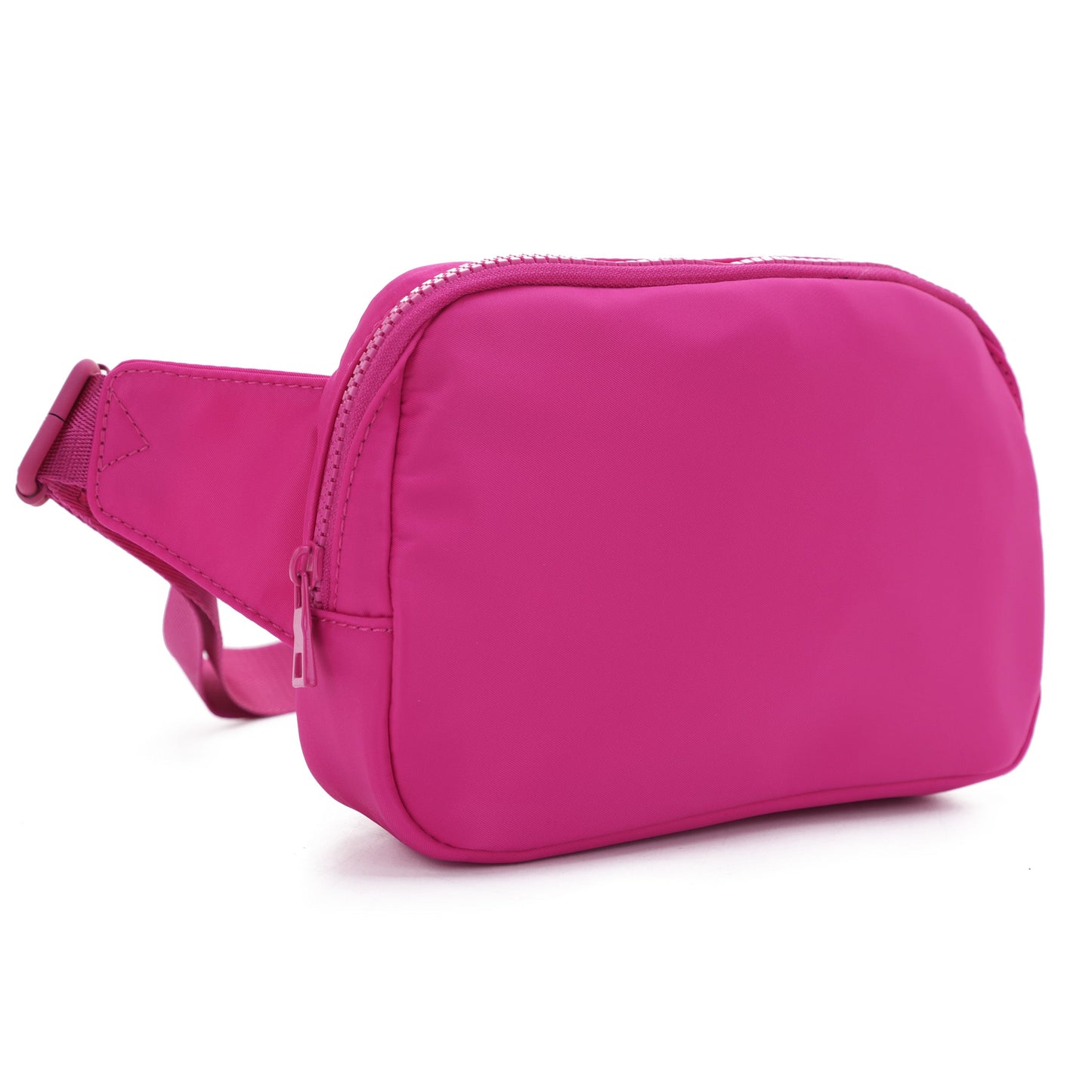 Flint Nylon Belt Bag